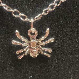 Silver Chain and Silver Spider Charm Necklace